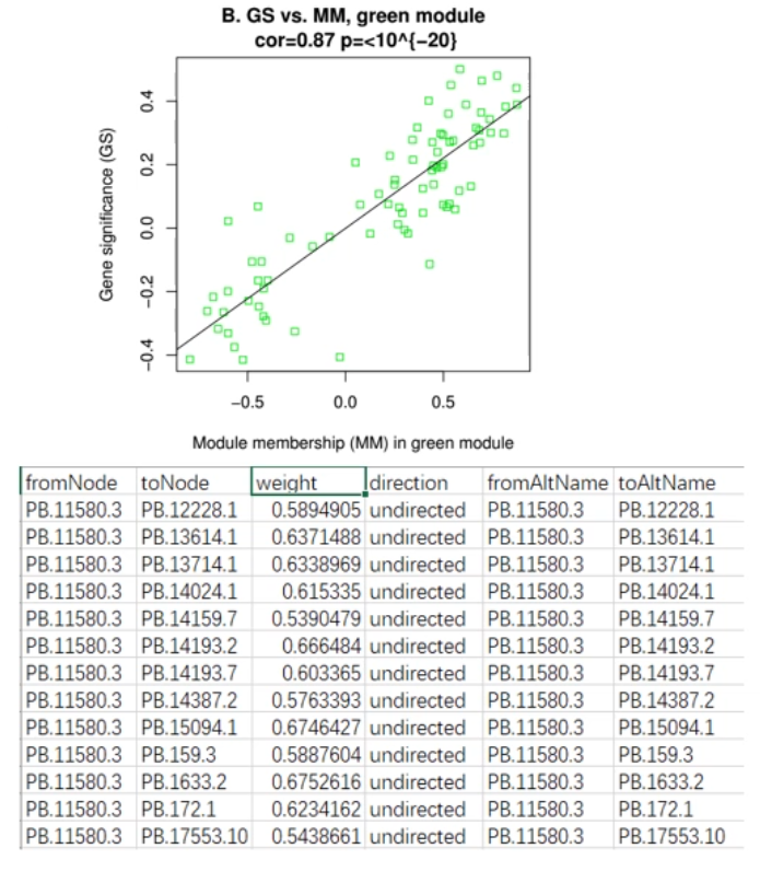 image-20200731175255824