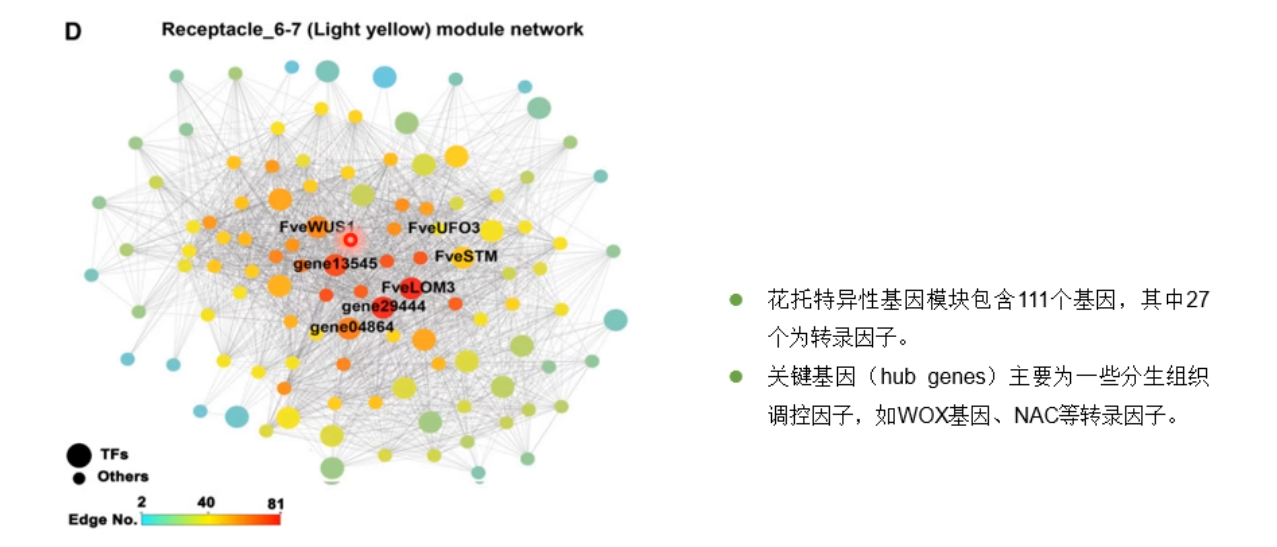 image-20200731175547071