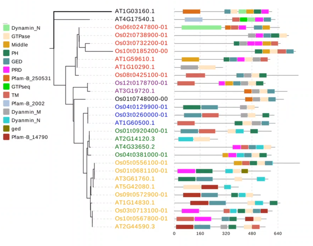 image-20200908203936505