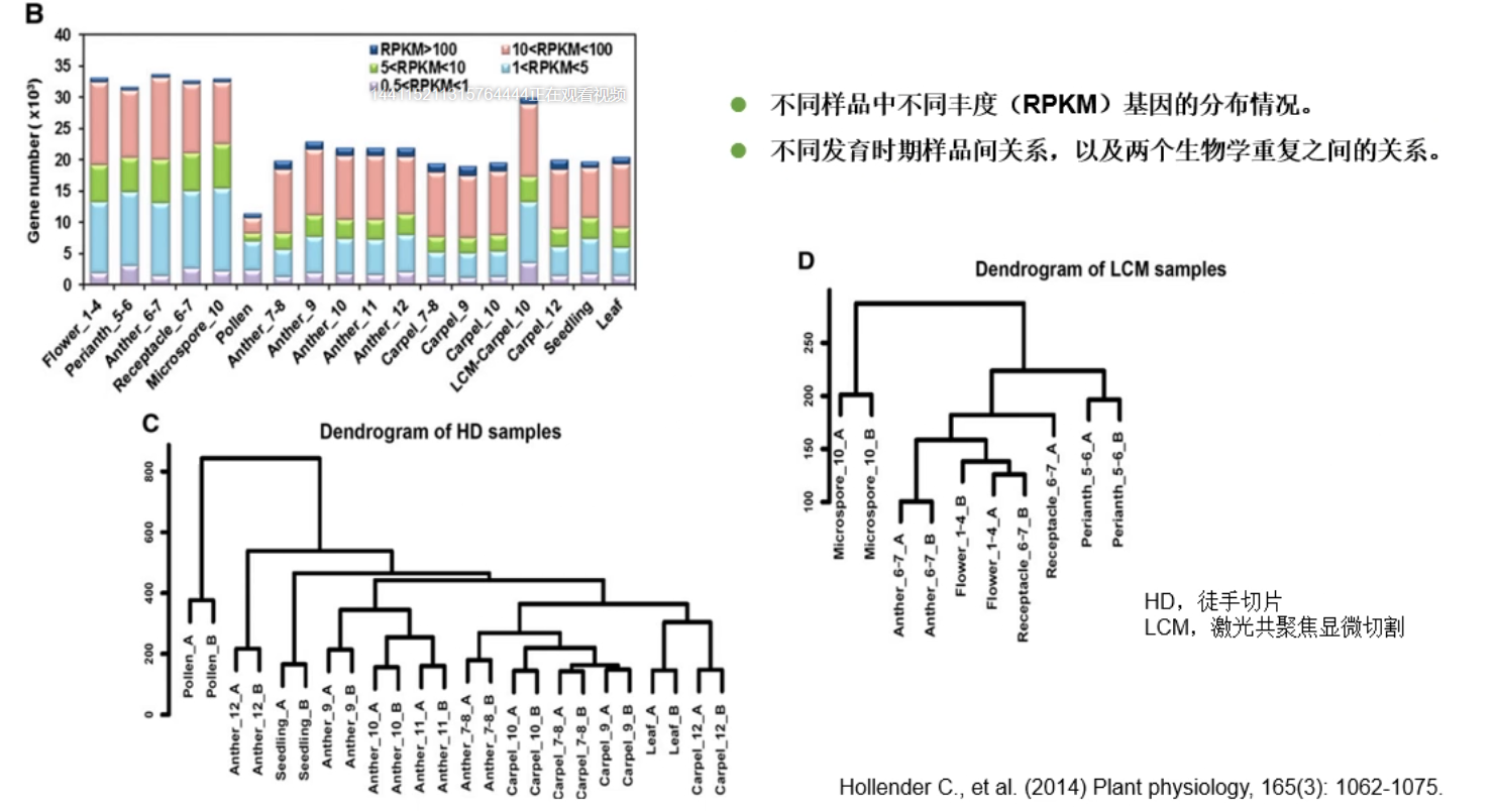 image-20200801153740199