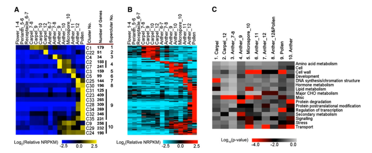 image-20200801160050718