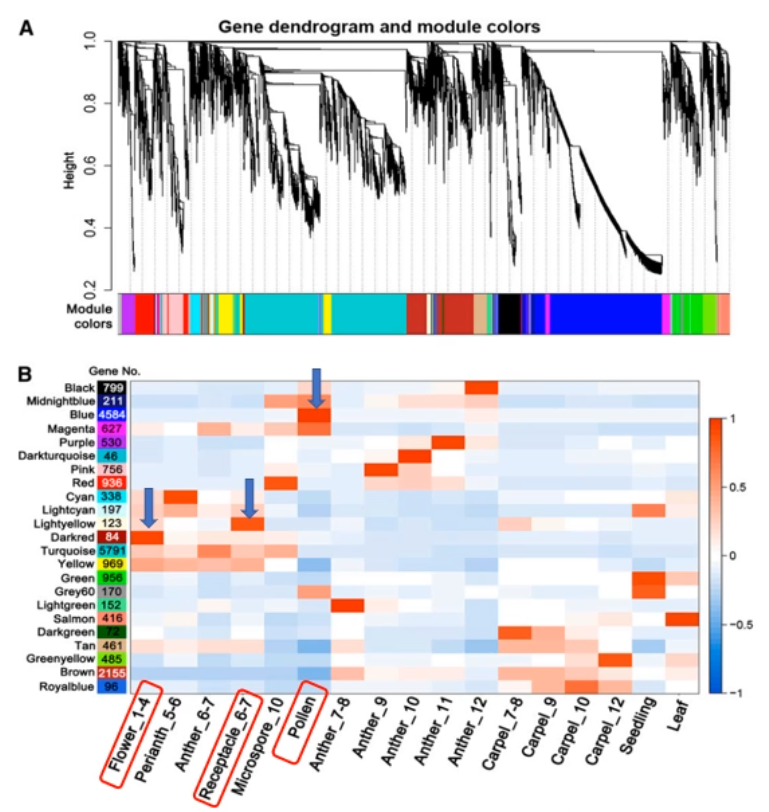 image-20200801161213889