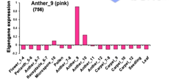 image-20200801170833839