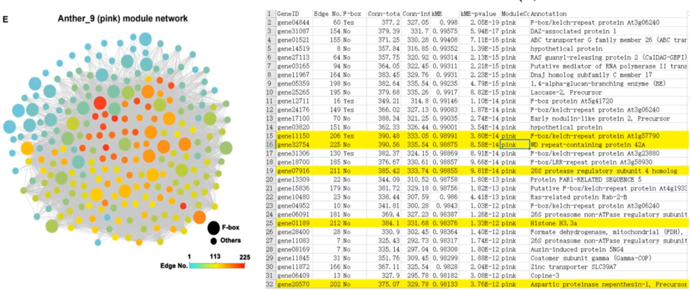image-20200801170857283