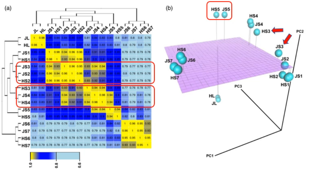 image-20200801181753539
