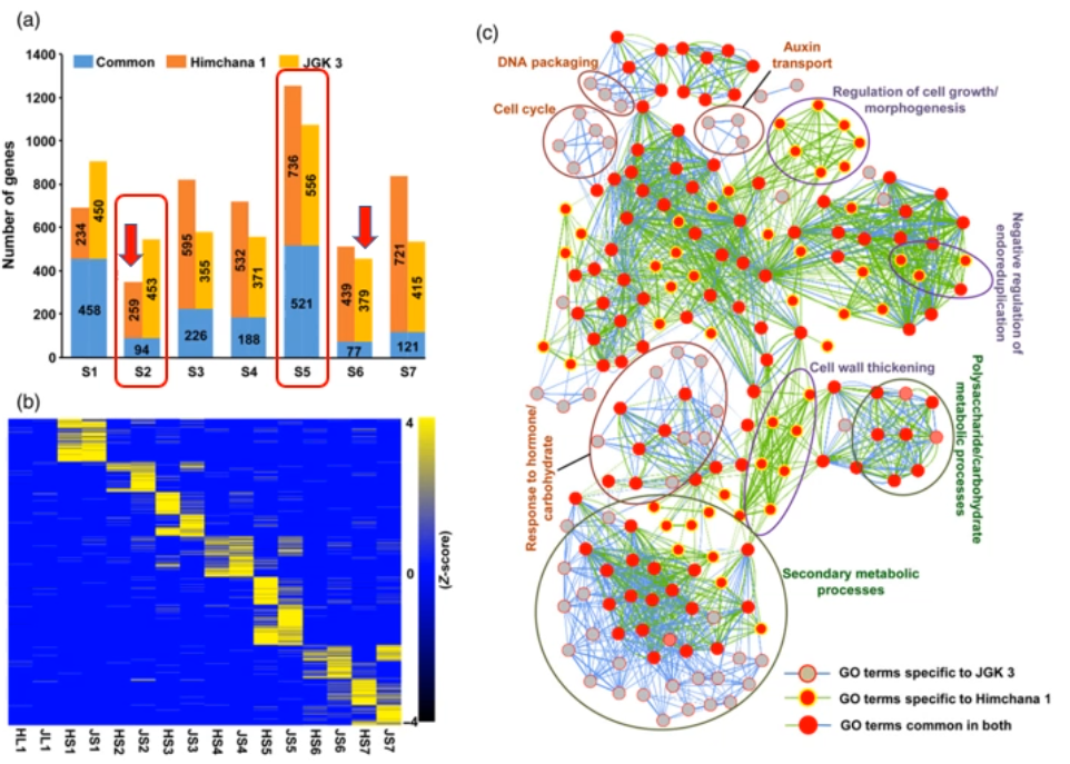 image-20200801184031068