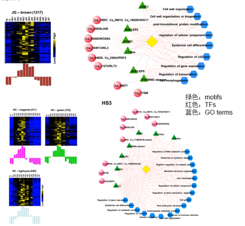 image-20200802120447510