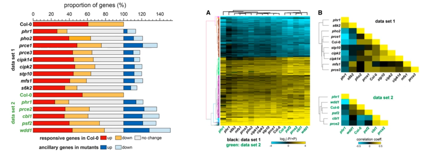 image-20200802124823271