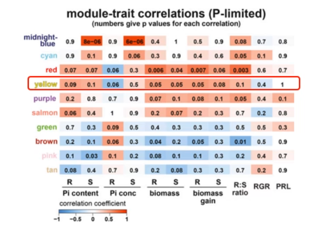 image-20200802135447749