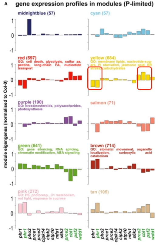 image-20200802135503250