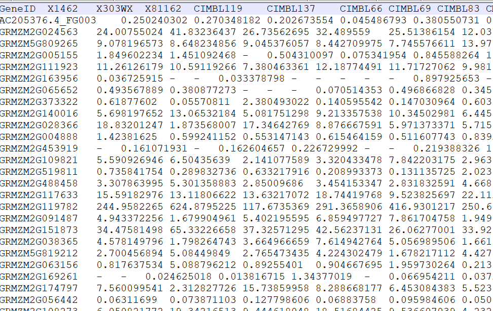 image-20200802142219001