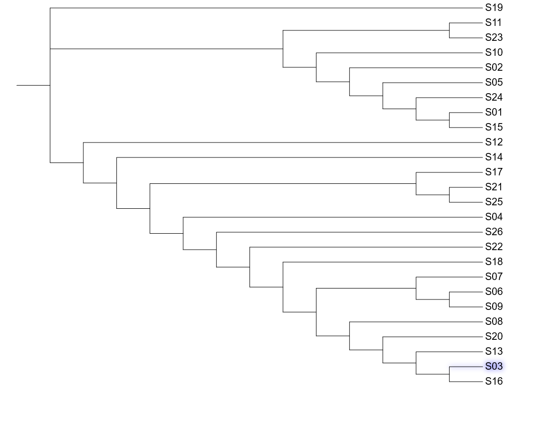 image-20200913150649427