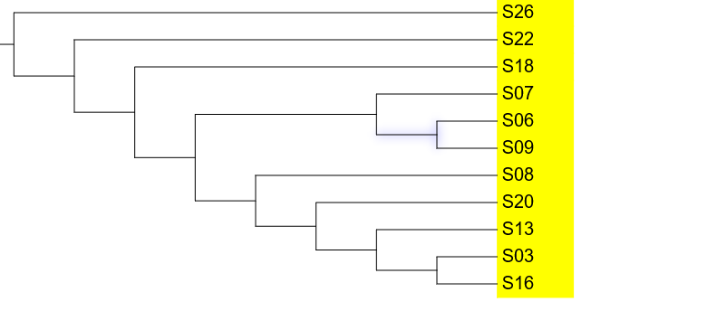 image-20200913154641347