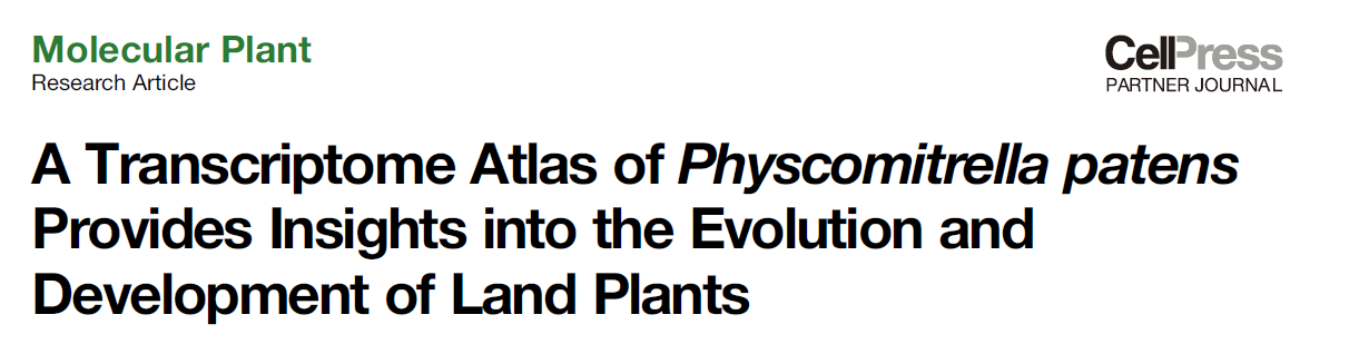 image-20200924093510305