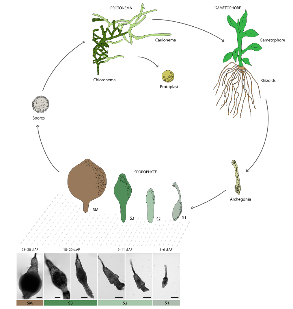 image-20200924160446766