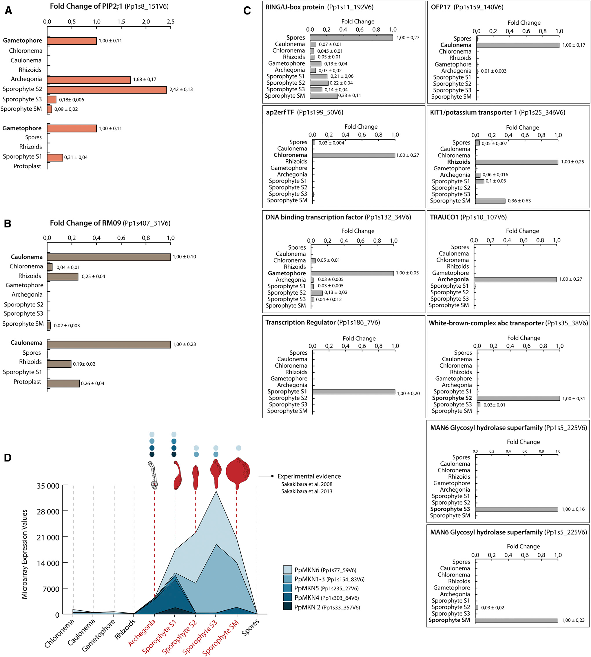 image-20200924170438095