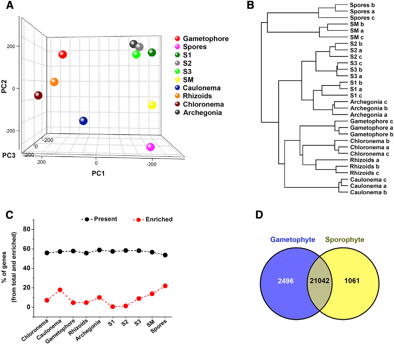 image-20200925170125496