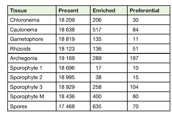 image-20200926141034897