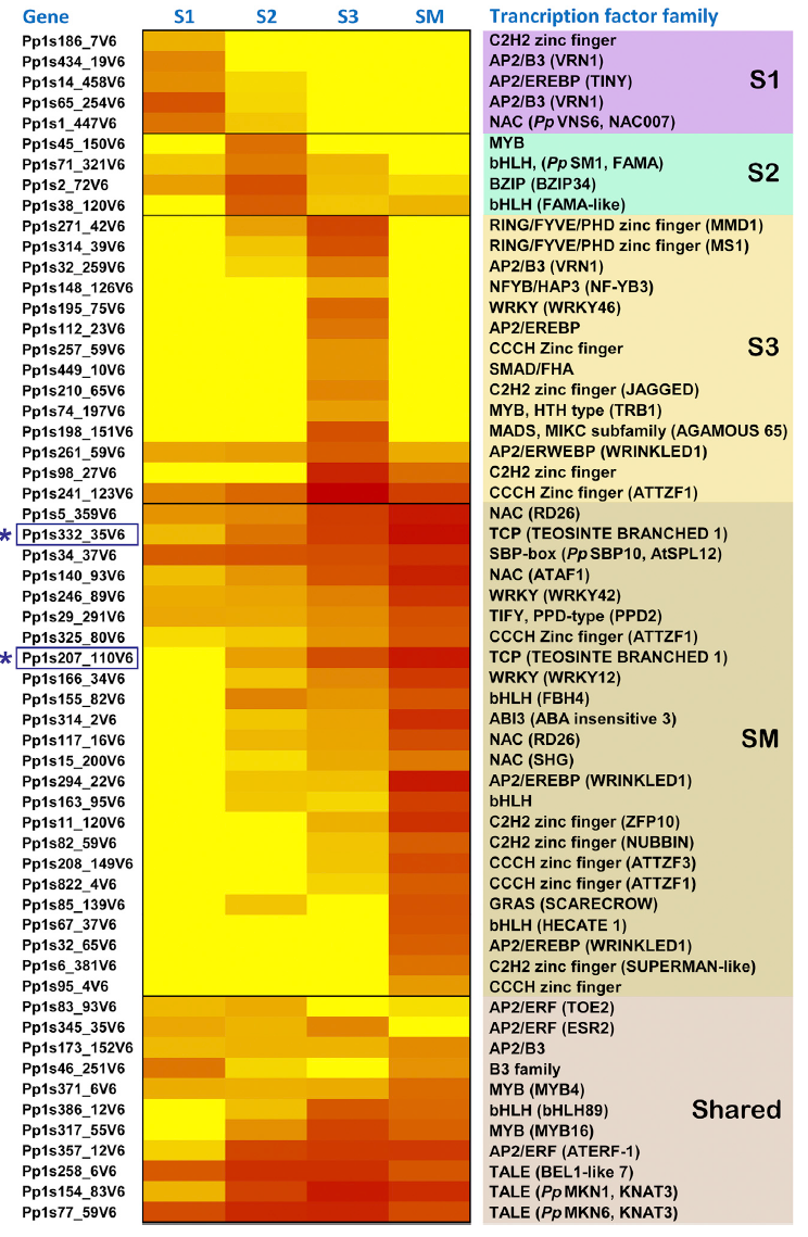 image-20200926142344507