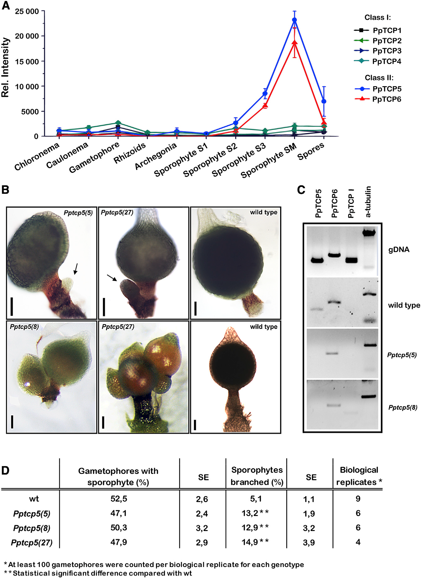 image-20200926154007899