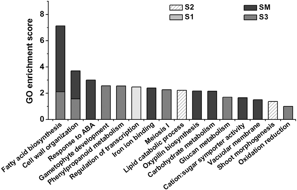 image-20200926164848753