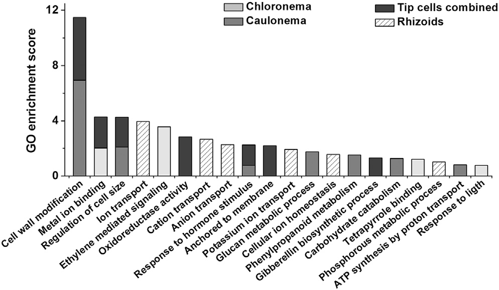 image-20200927155704258