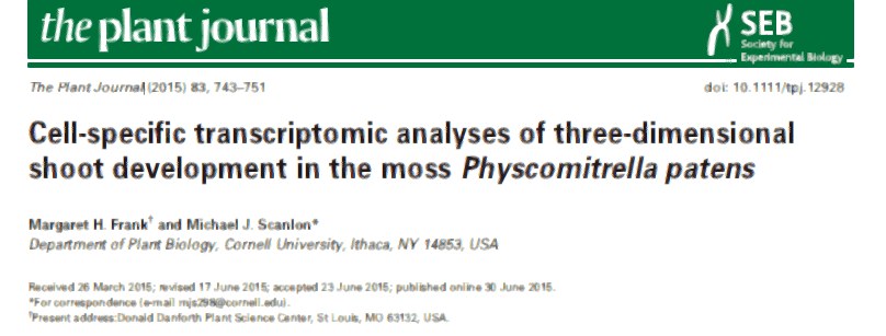 image-20200928143517072