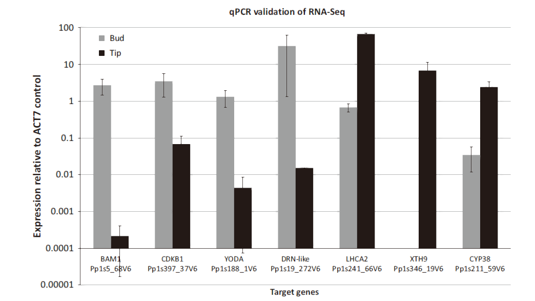 image-20200928204221913