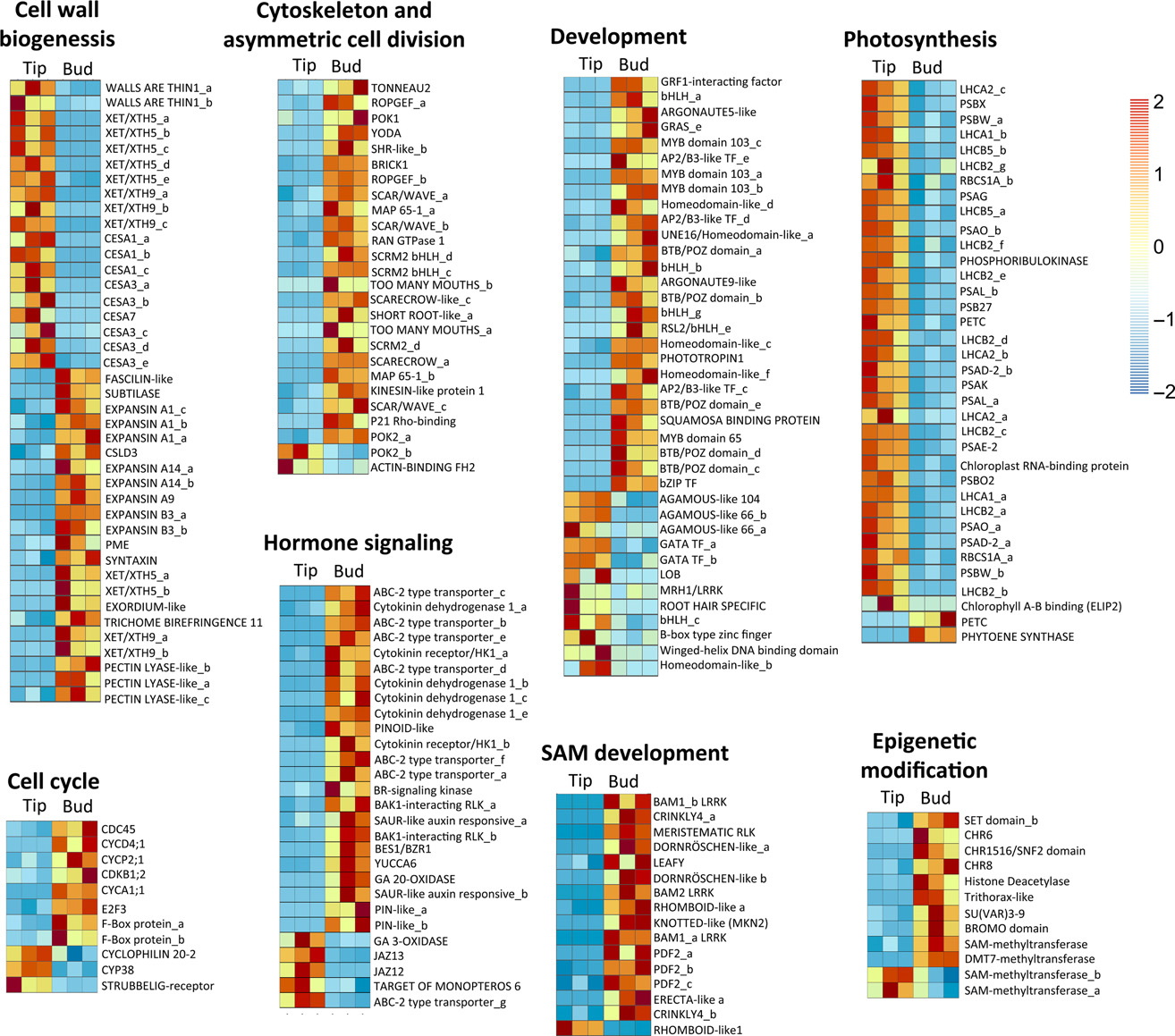 image-20200929090616018