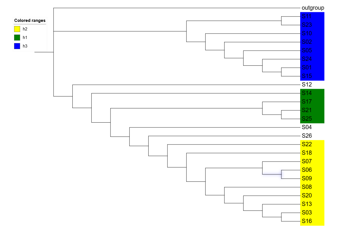 image-20200913154823177