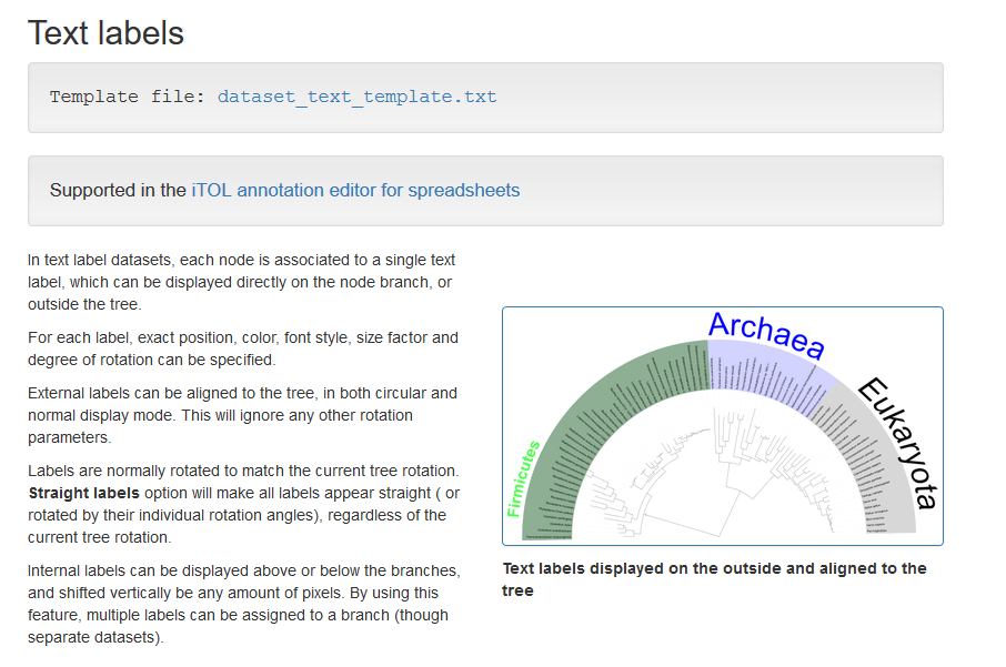 image-20200913155046194