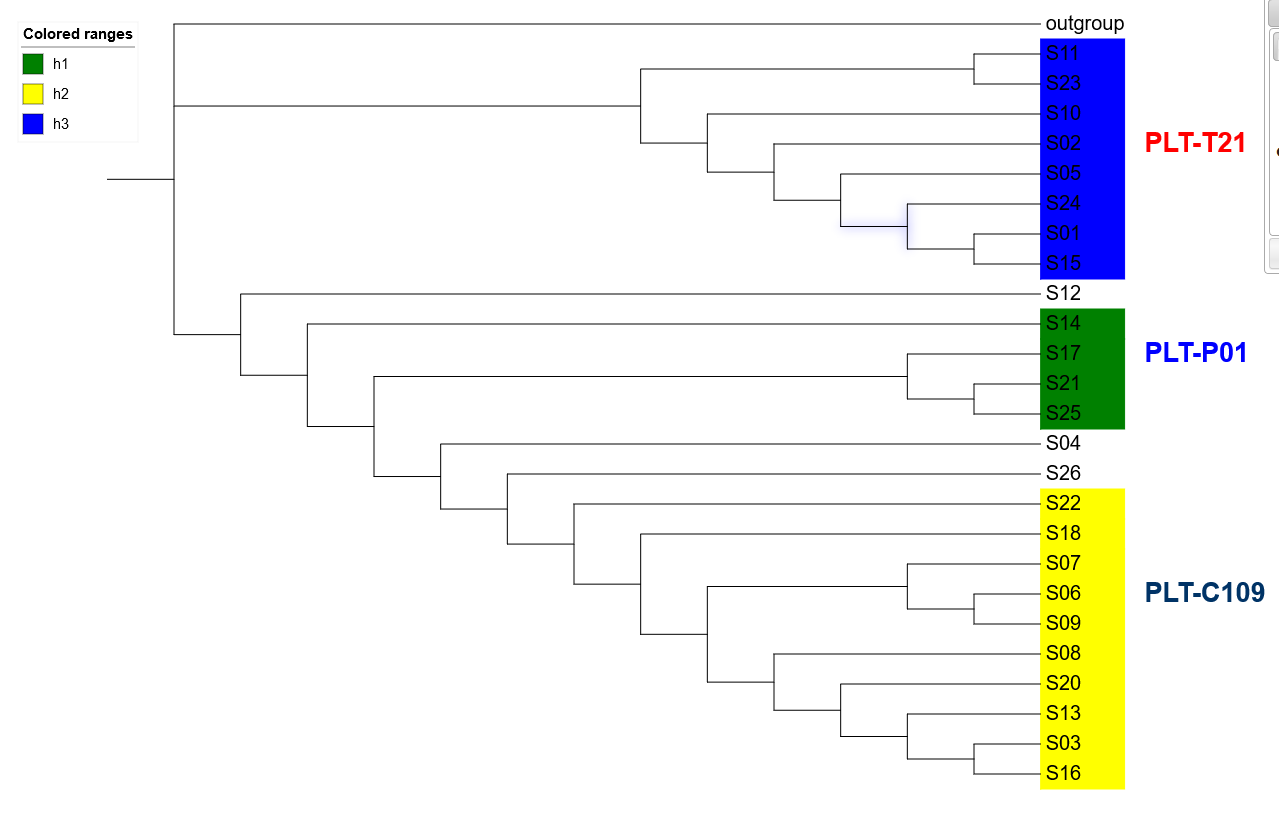 image-20200913160312432