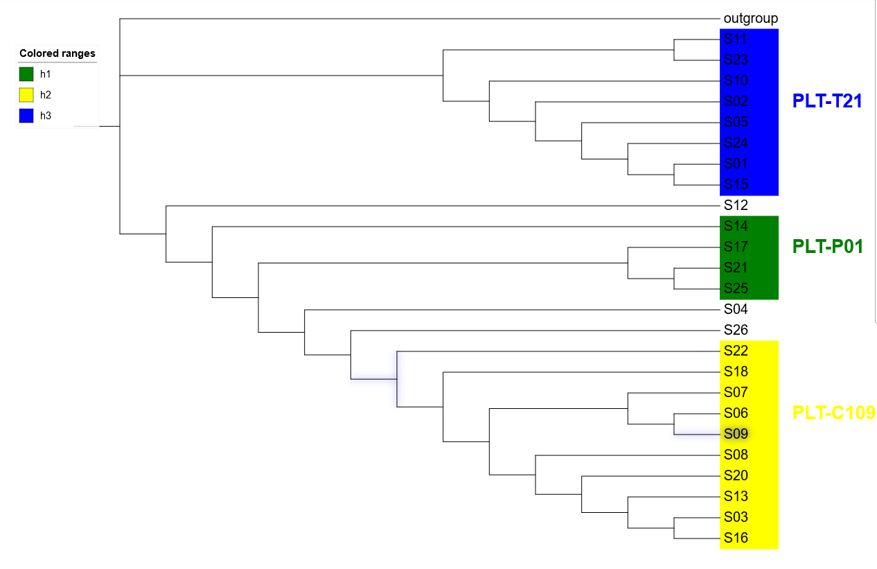 image-20200913160918657