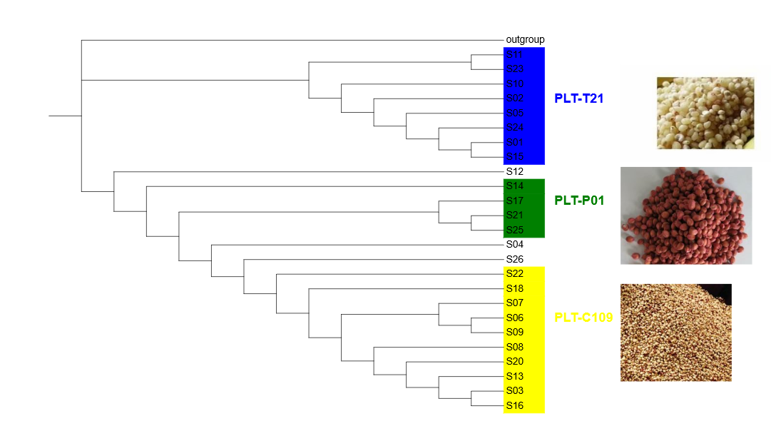 image-20200913164012566