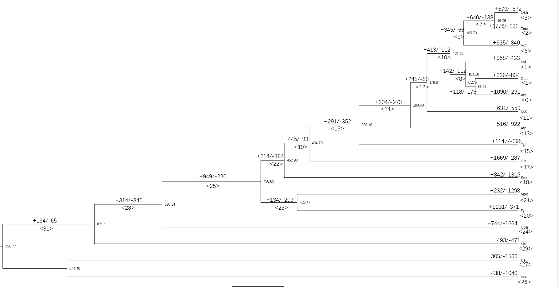 基因家族收缩和扩张