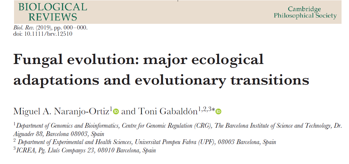 image-20200722195957768