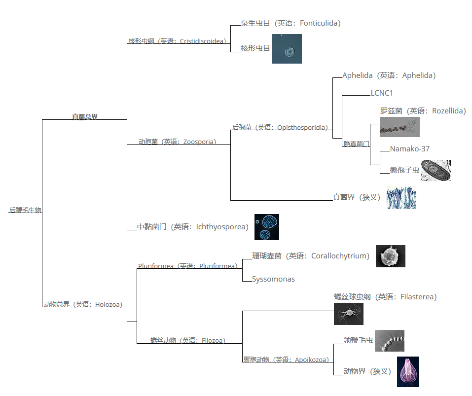 image-20200722213226712