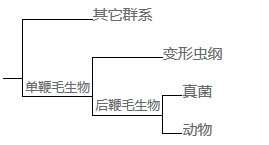 image-20200722215010791