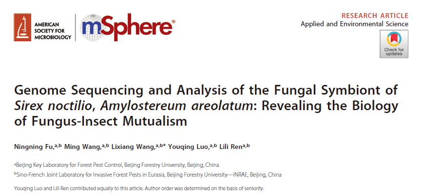 image-20200729093906243