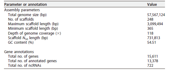 image-20200729105902140