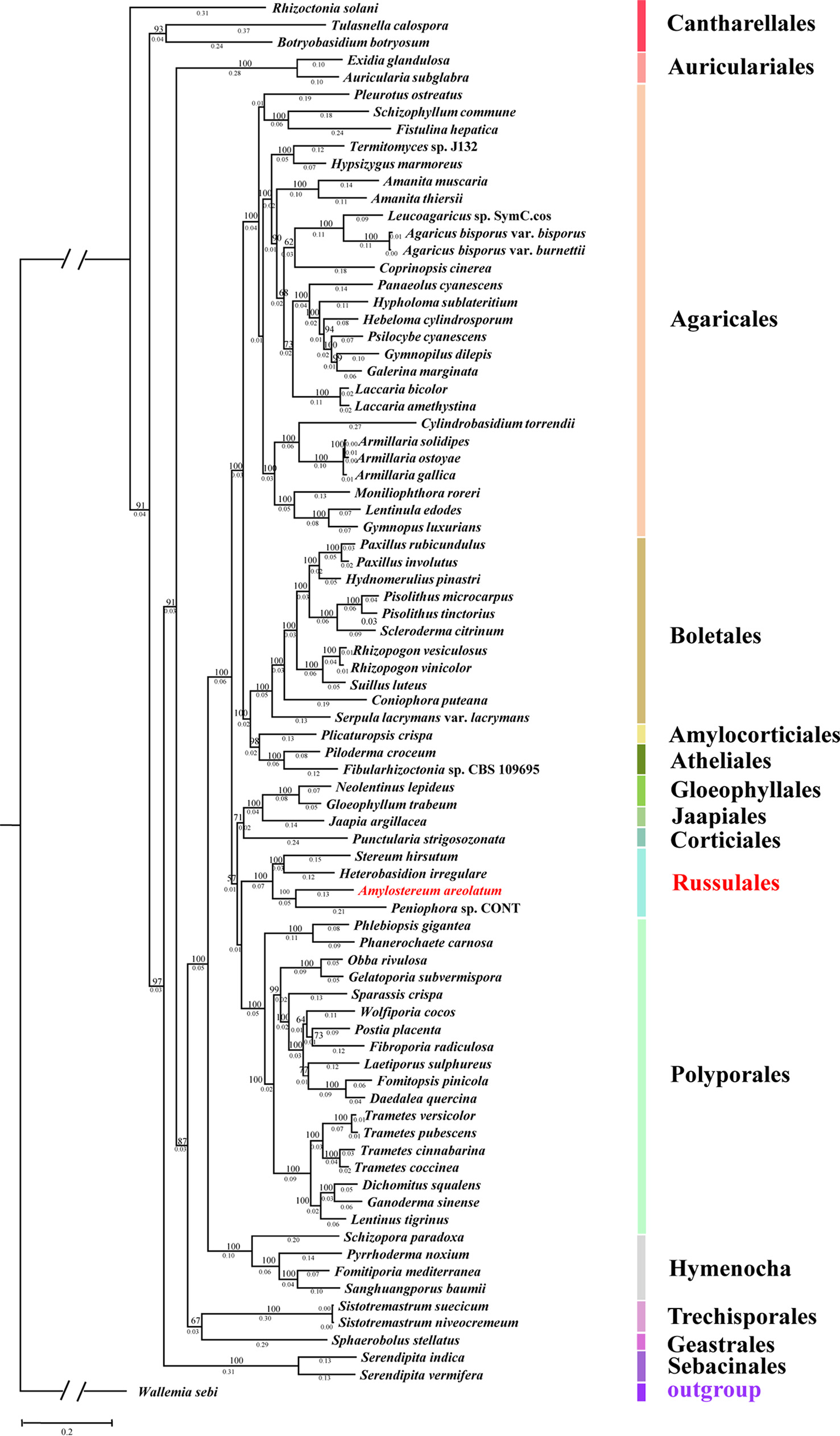 image-20200729141538596