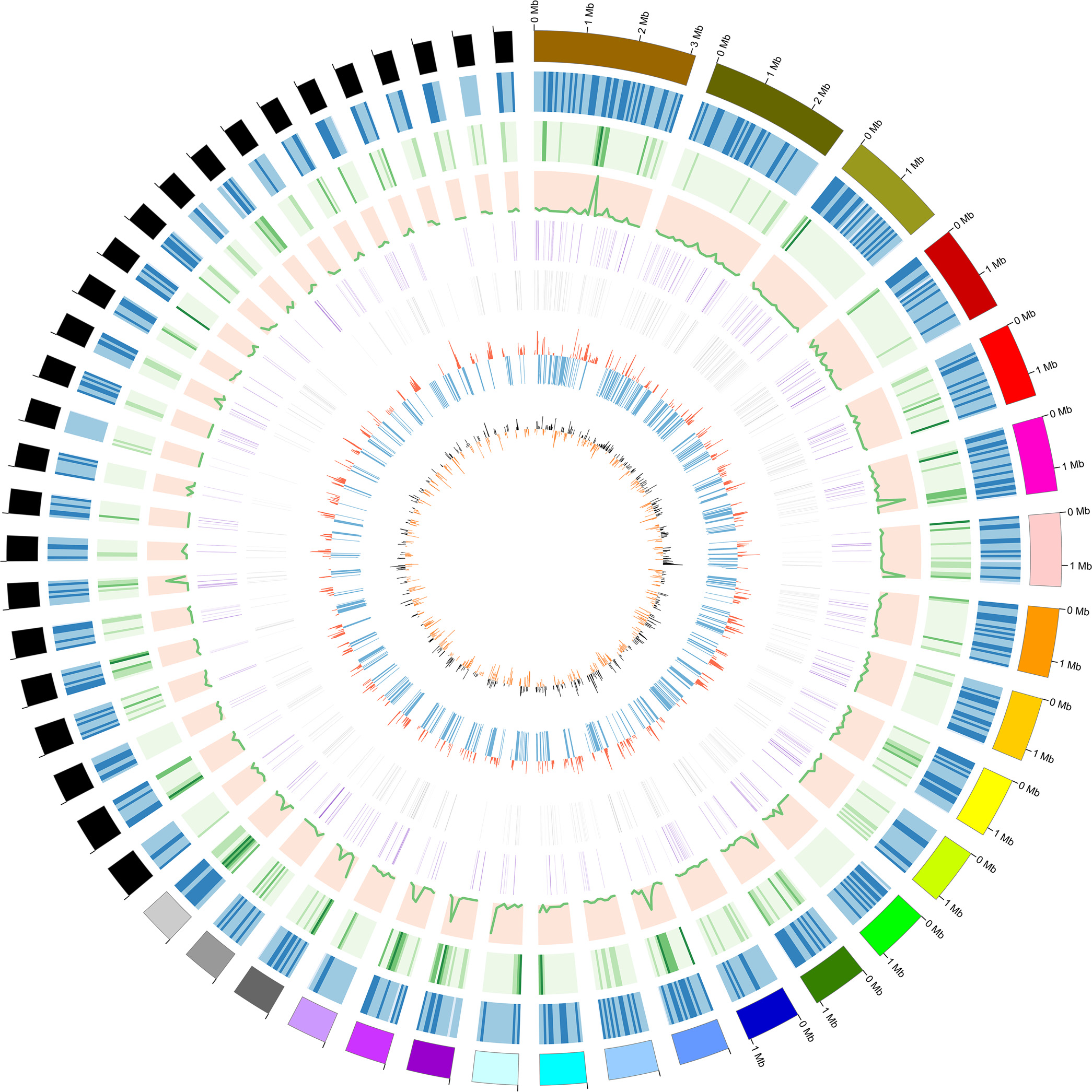 image-20200729141658581