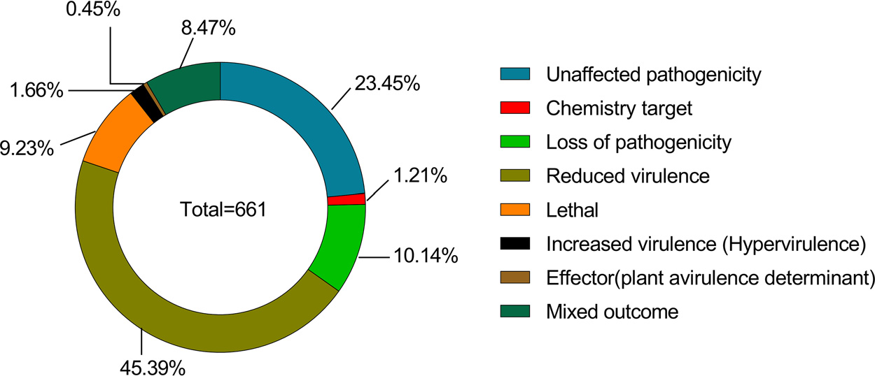 image-20200729144120933