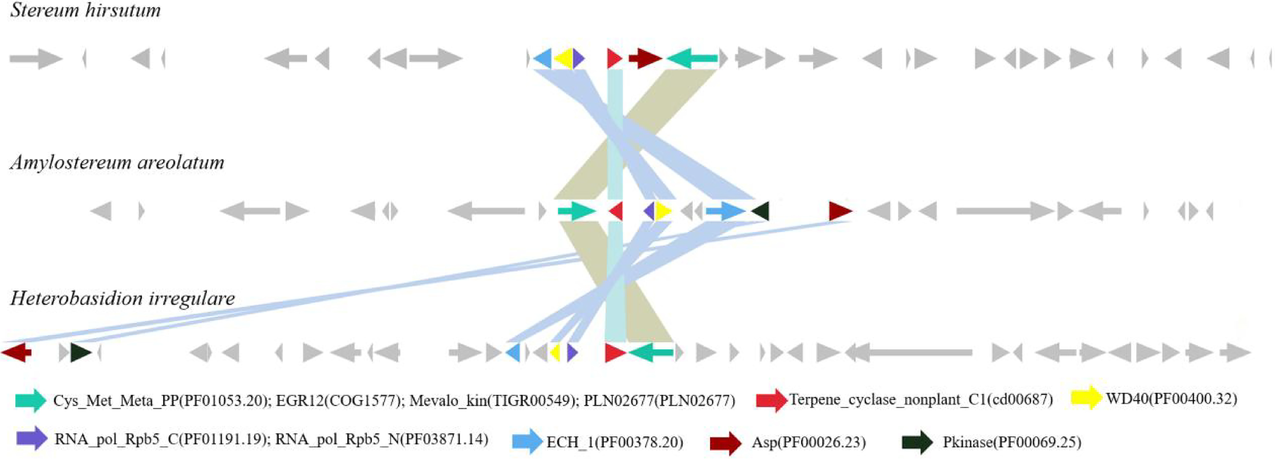 image-20200729150254666